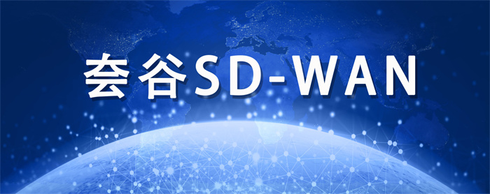 國內sdwan品牌 國內sdwan品牌