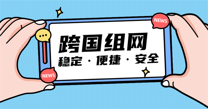 跨國集團組網方案現狀 跨國集團組網方案現狀