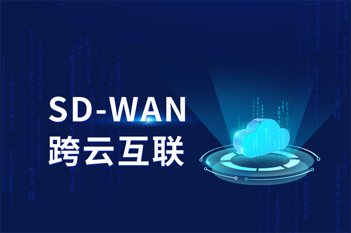 sdwan國際專線 sdwan國際專線