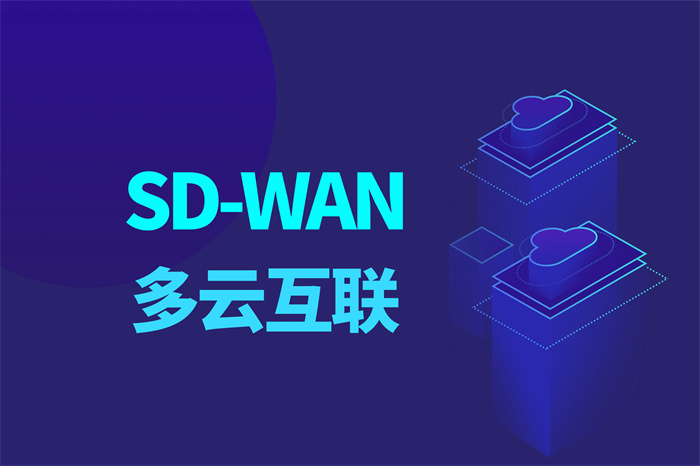 sd-wan是什么意思 sd-wan是什么意思
