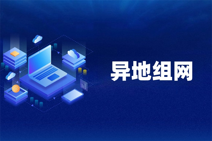 企業異地多個分公司如何建立組網？