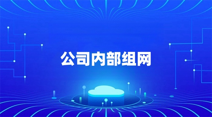 公司內部組網解決方案