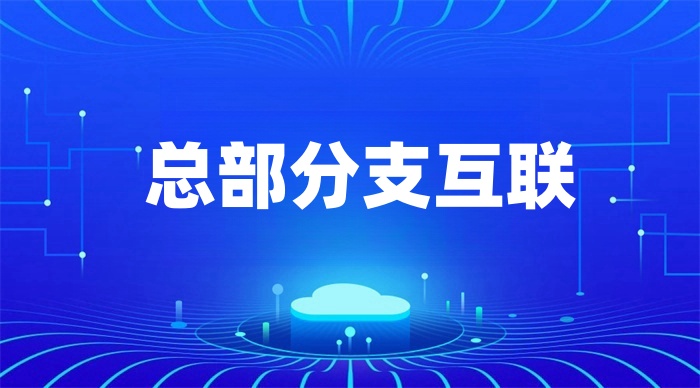 總公司如何與分公司進(jìn)行組網(wǎng)