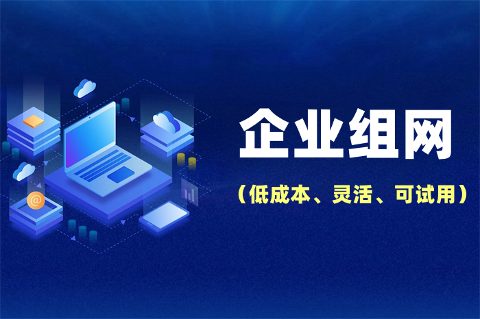 分公司怎么接入總部網絡 分公司怎么接入總部網絡