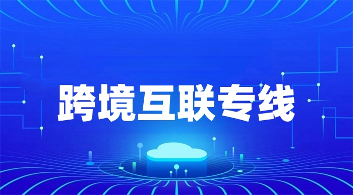 做跨境電商怎么解決網絡問題 做跨境電商怎么解決網絡問題