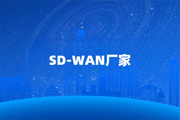 sdwan廠家 sdwan廠家