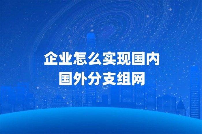 企業怎么實現國內國外分支組網 企業怎么實現國內國外分支組網