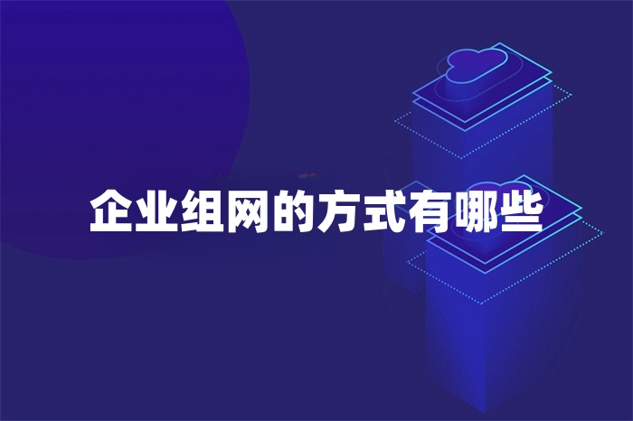 企業組網的方式