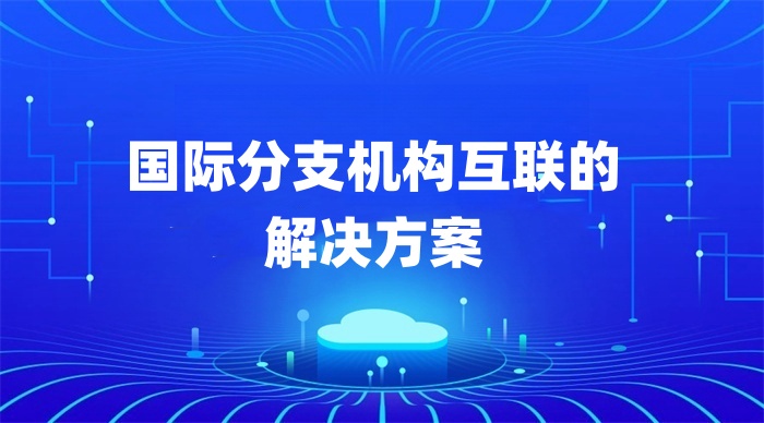 國際分支機(jī)構(gòu)互聯(lián)的解決方案
