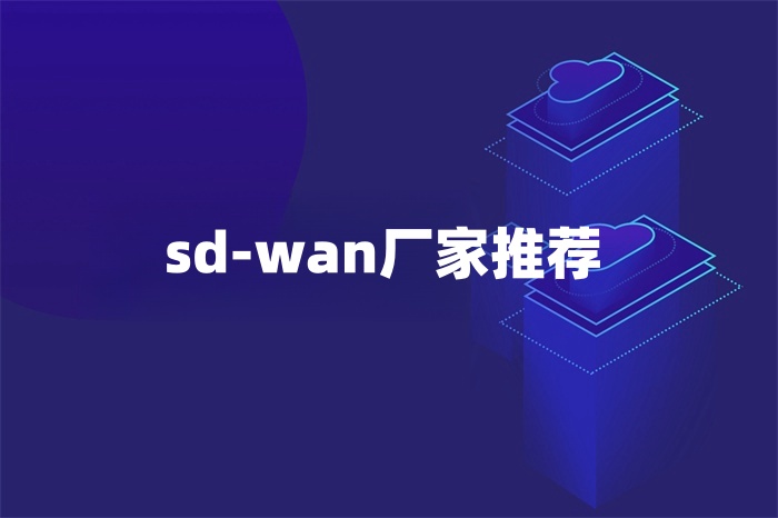 sd-wan廠家推薦 sd-wan廠家推薦