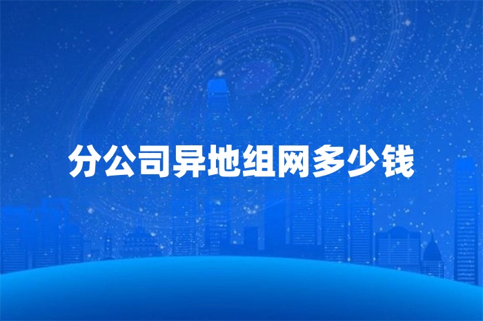 分公司異地組網多少錢