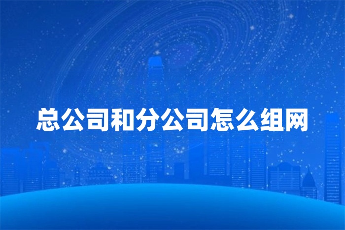 總公司和分公司怎么組網 總公司和分公司怎么組網