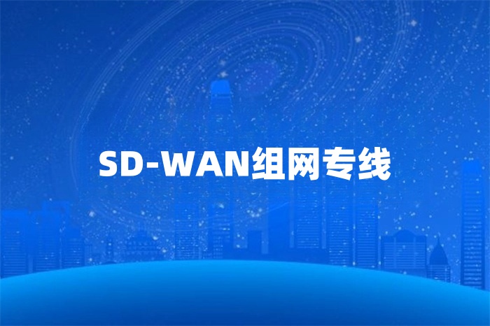 SD-WAN組網專線 SD-WAN組網專線