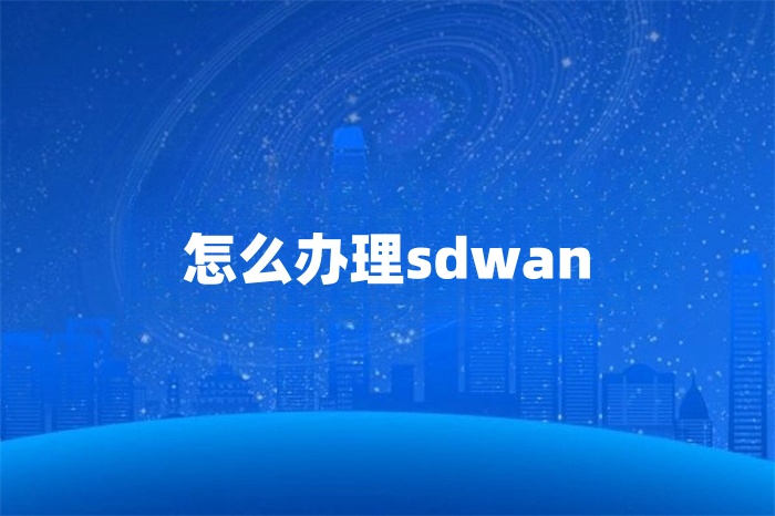 怎么辦理sdwan