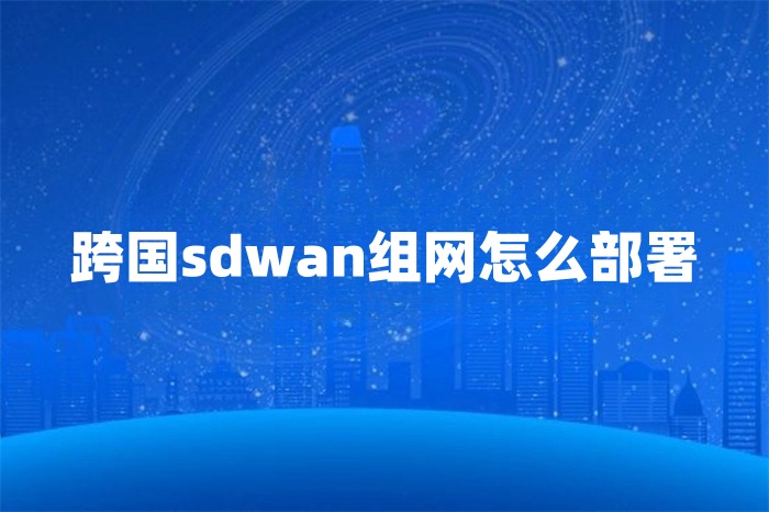 跨國sdwan組網怎么部署
