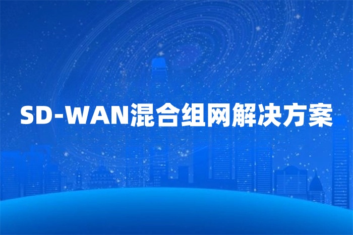 SD-WAN混合組網解決方案 SD-WAN混合組網解決方案