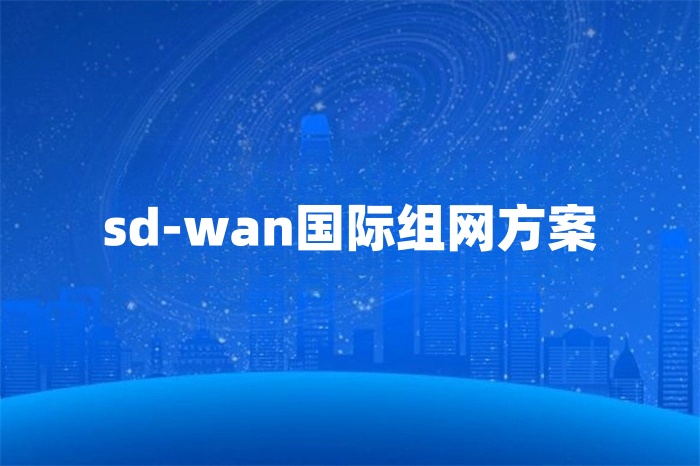 sd-wan國際組網(wǎng)方案 sd-wan國際組網(wǎng)方案