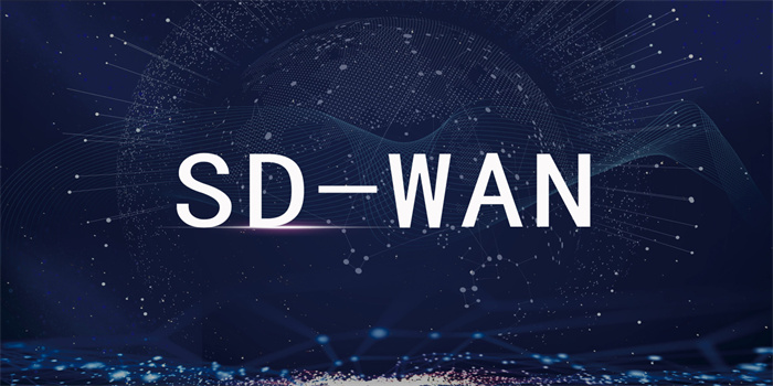 國內與越南SD-WAN解決方案 國內與越南SD-WAN解決方案