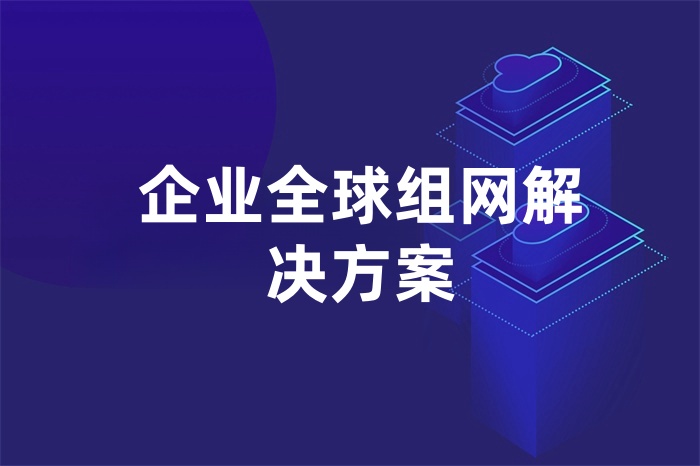 企業(yè)全球組網解決方案