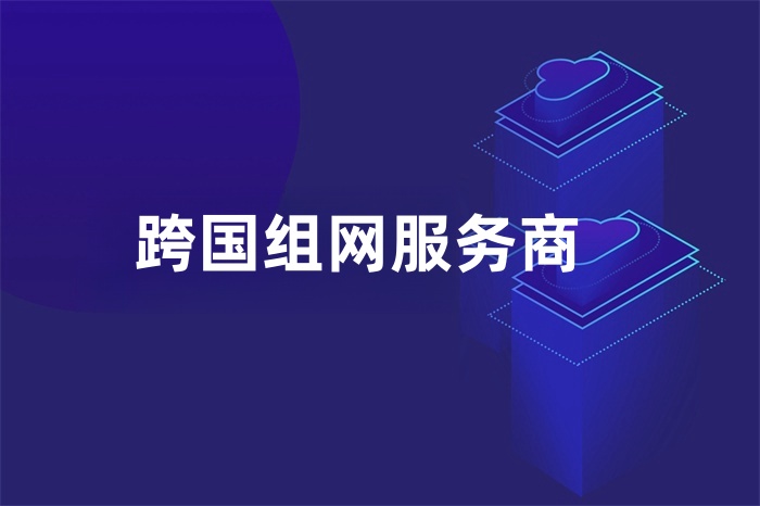 跨國組網(wǎng)服務商