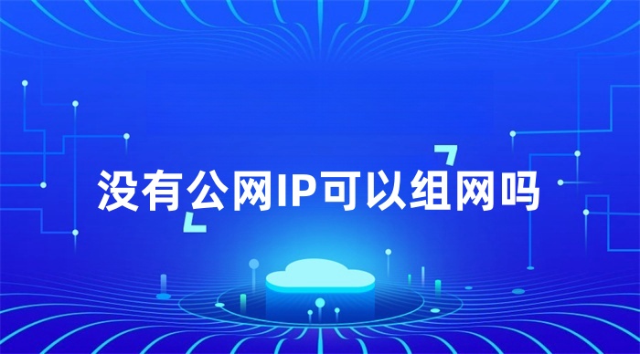 沒有公網IP可以組網嗎