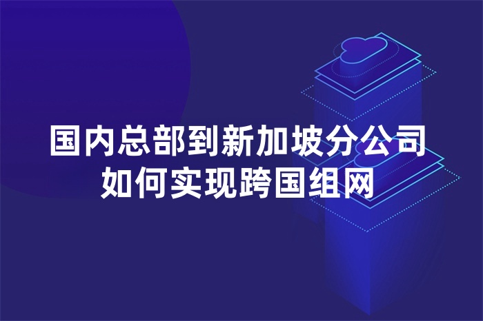 國內總部到新加坡分公司如何實現跨國組網 國內總部到新加坡分公司如何實現跨國組網