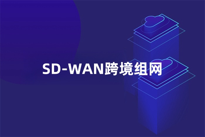 SD-WAN跨境組網 SD-WAN跨境組網