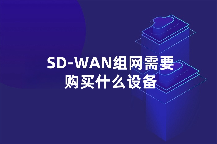 SD-WAN組網(wǎng)需要購(gòu)買什么設(shè)備