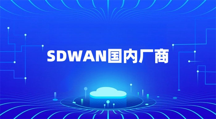 SDWAN國內廠商