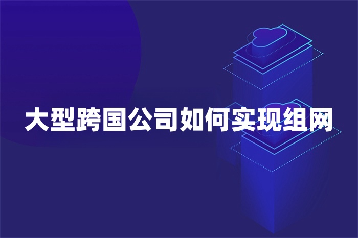 大型跨國公司如何實現(xiàn)組網(wǎng)