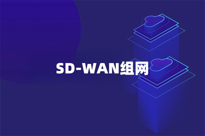 SD-WAN組網 SD-WAN組網