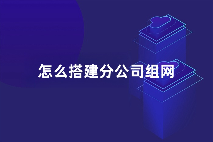 怎么搭建分公司組網(wǎng)