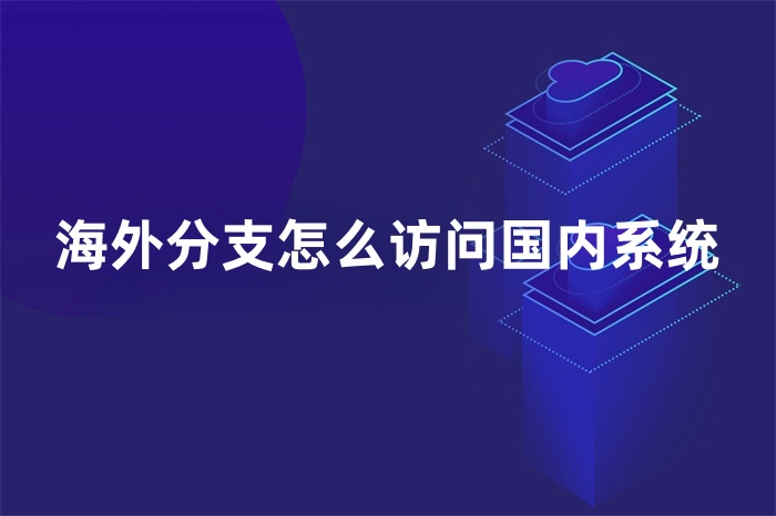海外分支怎么訪問國內(nèi)系統(tǒng) 海外分支怎么訪問國內(nèi)系統(tǒng)