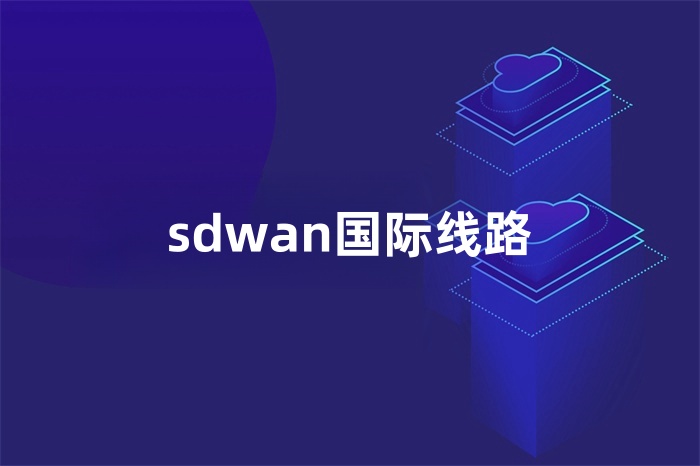 sdwan國際線路 sdwan國際線路
