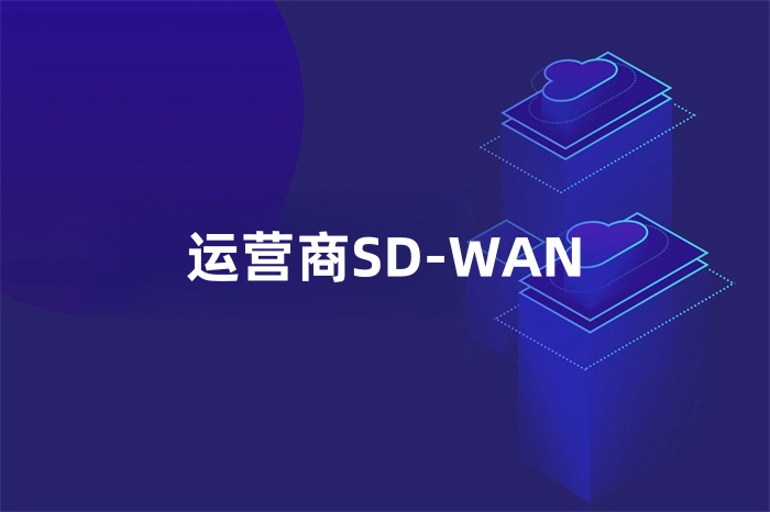 運營商SD-WAN 運營商SD-WAN
