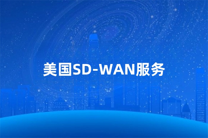 美國SD-WAN服務(wù) 美國SD-WAN服務(wù)