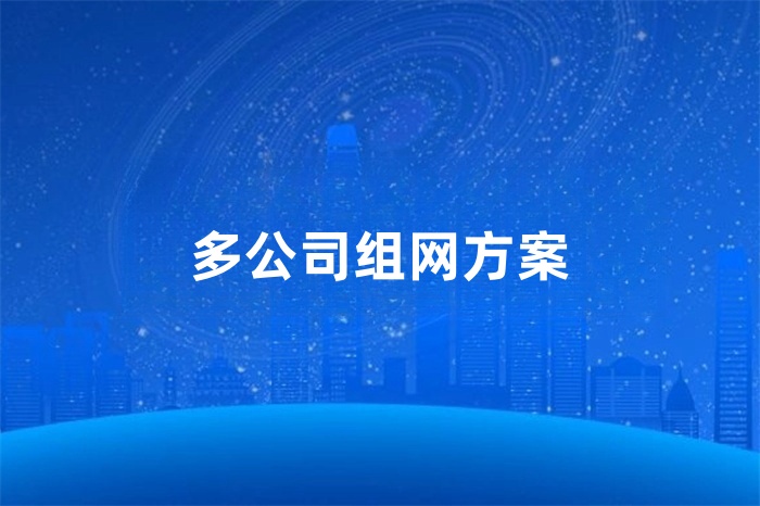 多公司組網方案 多公司組網方案