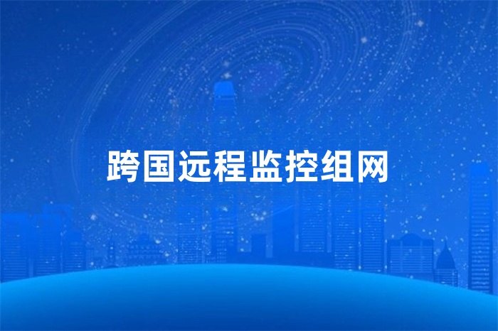 跨國遠程監控組網 跨國遠程監控組網