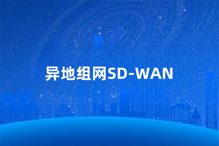 異地組網(wǎng)SD-WAN 異地組網(wǎng)SD-WAN