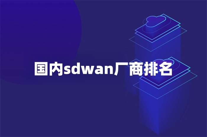 國內sdwan廠商排名 國內sdwan廠商排名