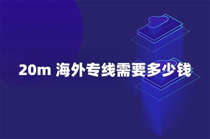 20m 海外專線需要多少錢