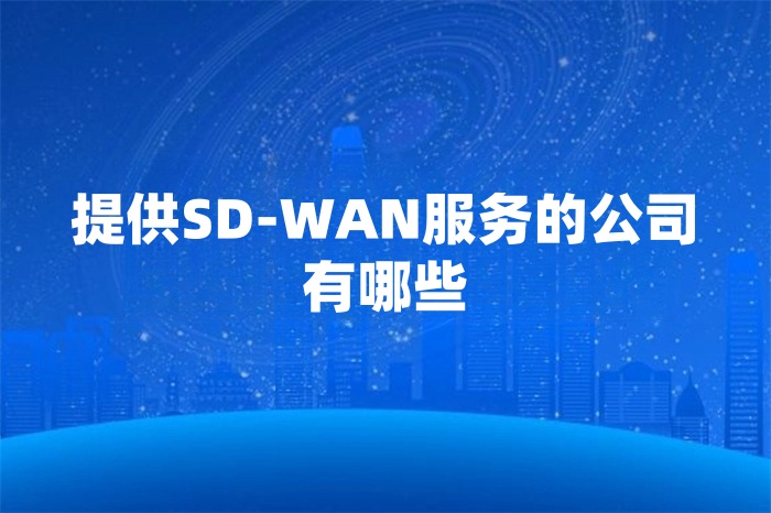 提供SD-WAN服務的公司有哪些 提供SD-WAN服務的公司有哪些