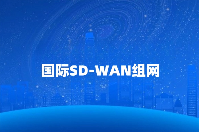 國際SD-WAN組網(wǎng) 國際SD-WAN組網(wǎng)