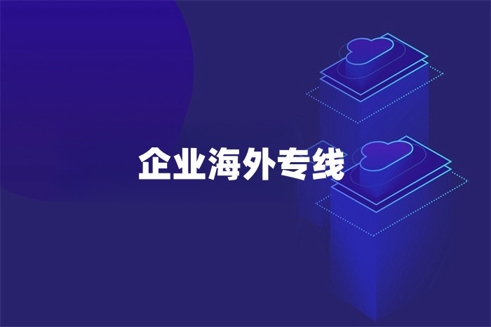 企業(yè)海外專線